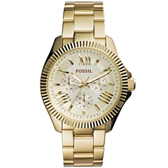 ساعت مچی فسیل AM4570 - fossil watch am4570  