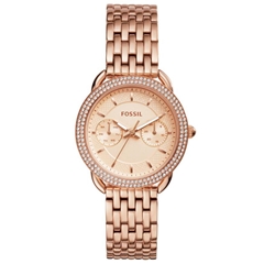 ساعت مچی فسیل ES4055 - fossil watch es4055  
