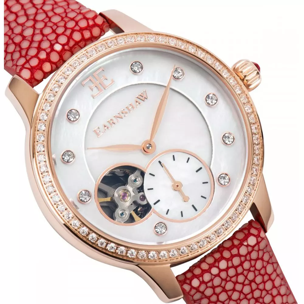 ساعت مچی ارنشا ES-8029-08