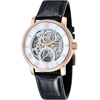 ساعت مچی ارنشا ES-8041-03