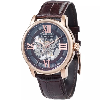 ساعت مچی ارنشا ES-8062-02