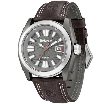 ساعت مچی تیمبرلند TBL13853JSUS-61