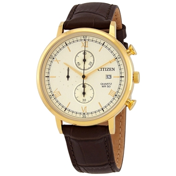 ساعت مچی سیتیزن CITIZEN کد AN3612-09P