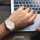 ساعت مچی سیتیزن CITIZEN کد AN3614-54A