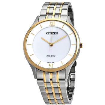 ساعت مچی سیتیزن CITIZEN کد AR0074-51A