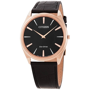 ساعت مچی سیتیزن CITIZEN کد AR3073-06E