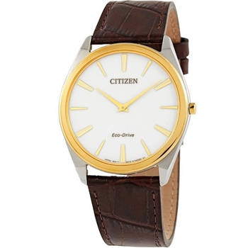ساعت مچی سیتیزن CITIZEN کد AR3074-03A