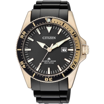 ساعت مچی سیتیزن CITIZEN کد BN0104-09E