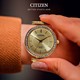 ساعت مچی سیتیزن CITIZEN کد ER0212-50P